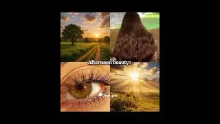 Which Dayparts beauty you have?🌄#beauty #day #morining #sunrise #night #noon