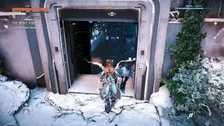 Glitch/Bug: No 
