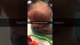 Marlin asking for help to find Nemo