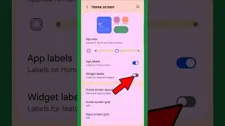 How to Enable Widget Labels on Samsung #shortsfeed #widgets #samsungsettings