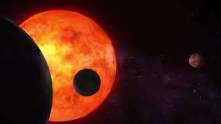 The Collective - The Morning star