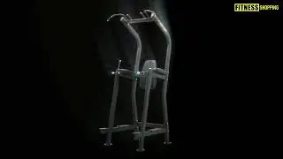 Vertical Knee Raise professionnel