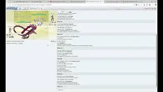 Playing pokemon showdown