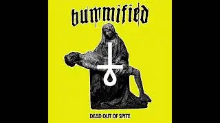 BUMMIFIED   
