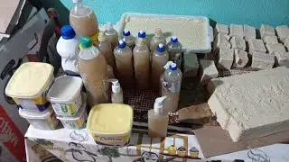 Vídeo completo do sabão que deu errado.