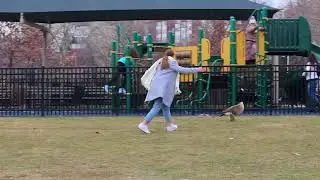 Eco Comedy Film Competition 2018