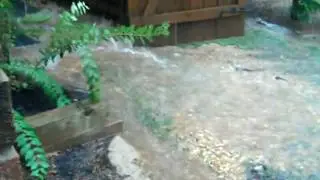 Atlantans Capture Images of Flooding