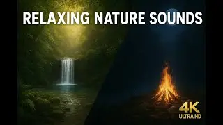 Relaxing Rainforest Journey: 4K Ultra HD Nature Scenery | Waterfalls, Rain & Bonfire Sounds