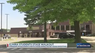 Elmira High School students stage walkout