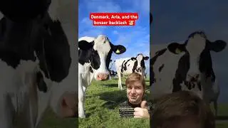 Denmark, Arla, and bovaer backlash 🐮