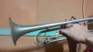 Como La Flor - Trompeta con guitarra