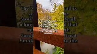 One of the best trails in Raleigh, NC