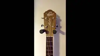 Economical Guitar, Banjo, Ukulele, Bass, Mandolin  Wall Mount