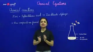 2 Chemical Reaction Activity 3