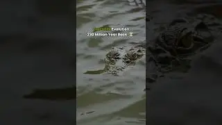 🐊 Crocodile Evolution: 230 Million Years in 45 Seconds!