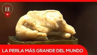 La perla natural m&aacute;s grande del mundo, vendida en 320.000 euros | El Espectador