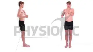 Standing: arm extension with elbow bent + wall support