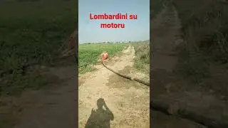 Lombardini su motoru