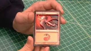 Lifecard - Magic: The Gathering