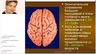 Как подготовить ребенка к школе с продуктами Альфа Эра