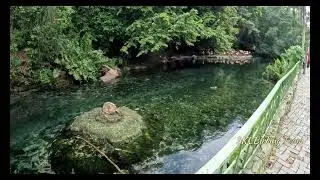 Crystal Clear Water at the Flamingo Pond in Santo Domingo Zoo #flamingo #zoo