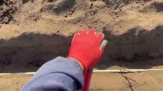 ビニールハウス2棟目×メインのアーチパイプ地面に差し込み作業260115