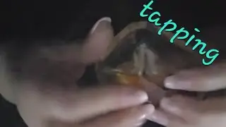 ASMR | Perfume Bottles & Relaxing Sounds