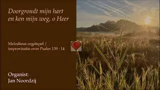 'Doorgrondt mijn hart' - Psalm 139 : 14 (impro) - Organist: Jan Noordzij