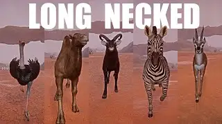 Long Necked Animals Speed Races in Planet Zoo included Ostrich, Camel, Lechwe, Zebra, Gazelle
