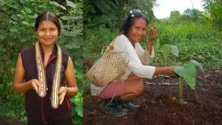 Supporting native artisans in the Peruvian Amazon
