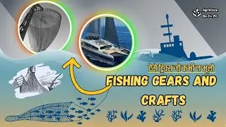 Fisheries: Classification of Fishing Gears and Crafts | Most Important for AFO | NABARD | ICAR JRF