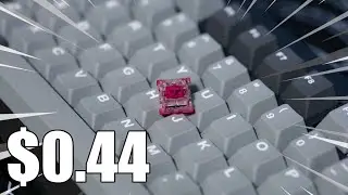 The BEST Budget Linear Switch | Akko CS Wine Red Review