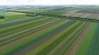 Flevo Campus Farms Episode 4: Strip cropping and Agroforestry