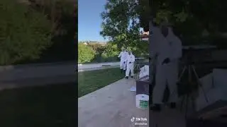 Elephant toothpaste explosion biggest one