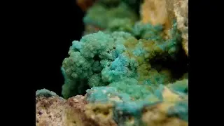 176791000621 TURQUOISE & WAVELLITE - Spain, Castile & Leon, Palazuelo /black_orion666/