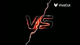 UMP VS BIZON