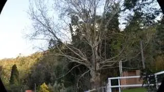 Spring Bluff Toowoomba by Charlie