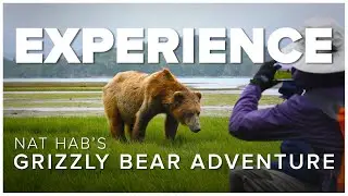 Up Close with Grizzly Bears: Nat Hab's Grizzly Ship Experience