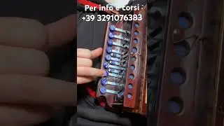 Lezione di tarantella calabrese con l&rsquo;organetto. Tutorial. #calabria #organetto #lezionediorganetto