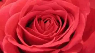 Rosana Sarik Todorovska - Zena.wmv