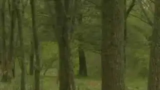 Adair Park