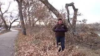 Post-Storm Tree Cleanup | From the Ground Up