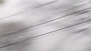The Flying Geese #13