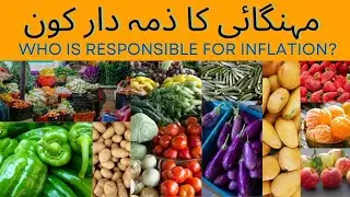Inflation's Impact on Everyday Life | Mehangai ka Zimedar kon | Pakistan