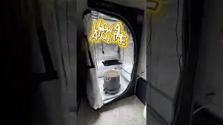 Stealth Grow Setup 🌱 | AC Infinity Mini Tent Under Stairs
