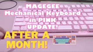 MAGEGEE MECHANICAL KEYBOARD UPDATE AFTER A MONTH (OR MORE) WITH GAMING MOUSE!
