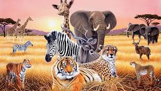Animals of plante Earth wild animals nature animal amazon forest animal discovery channel