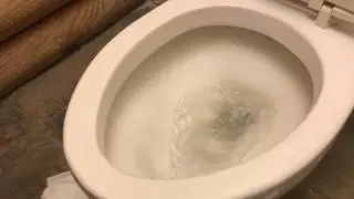 BEST way to clean a toilet using a pumice scouring stick