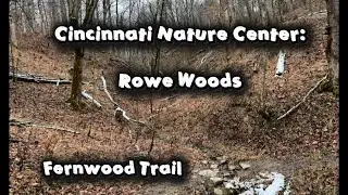 Fernwood Trail - Cincinnati Nature Center: Rowe Woods