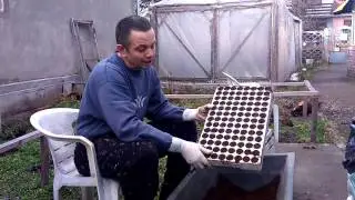 Priprema zemljišta za sadnju semena